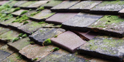Thurleigh roof repair costs